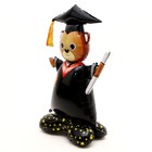 Шар фольгированный 48" «Ученик» - фото 31410467