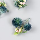 Цветы для декорирования "Эхинопс с ягодками" зелёный 8 см - фото 319433314