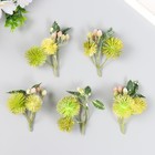 Цветы для декорирования "Эхинопс с ягодками" светло-зелёный 8 см - Фото 3