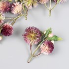 Цветы для декорирования "Эхинопс с ягодками" малиновый 8 см - Фото 2