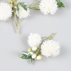 Цветы для декорирования "Эхинопс с ягодками" белый 8 см