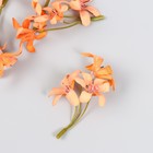 Цветы для декорирования "Лилейник" персиковый 8,5 см - Фото 2