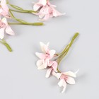 Цветы для декорирования "Лилейник" розовый 8,5 см - фото 10452635
