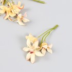 Цветы для декорирования "Лилейник" ванильный 8,5 см - фото 319433332