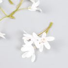 Цветы для декорирования "Лилейник" белый 8,5 см - фото 11252152