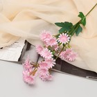 Цветы искусственные "Хризантема" премиум, 3,5х62 см, розовый - фото 319433348