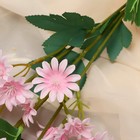 Цветы искусственные "Хризантема" премиум, 3,5х62 см, розовый - фото 6898067