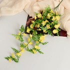 Цветы искусственные "Керрия" 4х65 см, жёлтый - фото 319433352