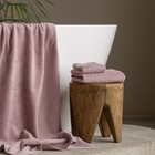 Полотенце махровое Pasionaria «Плейн», 450 гр, размер 30х50 см, цвет лиловый - Фото 2