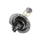 Галогенная лампа Cartage Rainbow H7, 12 В, 55 Вт +30% 9364247