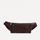 Поясная сумка на молнии, 2 наружных кармана, цвет коричневый - фото 319434699