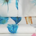 Постельное бельё Экономь и Я 1,5 сп "Перья" 147х215 см, 150х215 см, 70х70 см-2 шт, полисатин, 80г/м² - фото 47284178