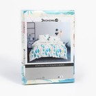 Постельное бельё Экономь и Я 1,5 сп "Перья" 147х215 см, 150х215 см, 70х70 см-2 шт, полисатин, 80г/м² - фото 47284181