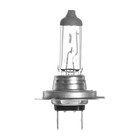 Лампа автомобильная Clearlight LongLife, H7, 12 В, 55 Вт - фото 238764