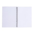 Блокнот А5, 80 листов в клетку на спирали, ErichKrause Blue Concept, пластиковая обложка - Фото 2