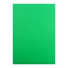Картон цветной А3, мелованный, 215 г/м2, зелёный /Финляндия/, цена за 1 лист - фото 10455713