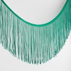 Тесьма декоративная «Бахрома», 15 см, 5±0.5 м, тёмно-зелёная - Фото 1