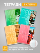 Набор предметных тетрадей Calligrata «Полоса», 10 предметов, 48 листов, со справочным материалом, обложка из мелованного картона - Фото 3