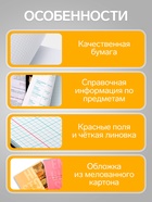 Набор предметных тетрадей Calligrata «Полоса», 10 предметов, 48 листов, со справочным материалом, обложка из мелованного картона - Фото 5