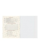 Набор предметных тетрадей Calligrata TOP «Аниме», 10 предметов, 48 листов, со справочным материалом, обложка из мелованного картона - Фото 18