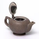 Чайник с фильтром Elrington «Феличита, крошка», 450 мл - Фото 3