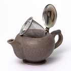 Чайник с фильтром Elrington «Феличита, крошка», 450 мл - Фото 4