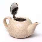 Чайник с фильтром Elrington «Феличита, крошка», 750 мл - Фото 3