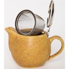 Чайник с фильтром Elrington «Феличита, крошка», 350 мл - Фото 2