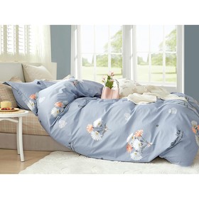 

Постельное бельё 2 сп Satin de Luxe, размер 230х240 см, 180х210 см, 50х70 см - 2 шт