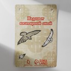 Кулон-амулет «Меч-кладенец» на шнурке, цвет чернёное серебро, 40 см - фото 23823330