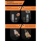 Термос-заварник чайный Magistro «Термо», 330 мл, 6.5×22 см, дисплей - Фото 5