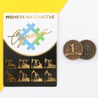 Сувенирная монета «Сургут», d = 2 см, металл - фото 298740486