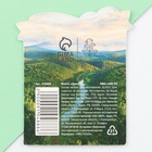 Сувенирная монета «Урал», d=2 см, металл (комплект 3 шт) - фото 32193198 Сувенирная монета «Урал», d=2 см, металл (комплект 3 шт) - фото 32193198