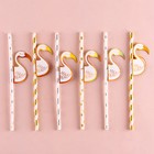 Трубочки для коктейля «Фламинго», спираль, в наборе 6 штук - фото 108785183