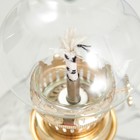 Керосиновая лампа декоративная прозрачный 9х9х18 см RISALUX - Фото 4