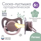 Соска - пустышка ортодонтическая, латекс, +6мес., «Лес» - Фото 1