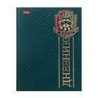 Дневник универсальный для 1-11 класса "Королевский енот", твердая обложка, металлик, выборочный лак, 40 листов - фото 319439082