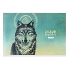 Альбом для рисования А4, 40 листов, "Волк", обложка мелованный картон, выборочный твин-лак, блок офсет - фото 10460183