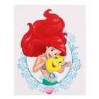 Набор для опытов "Мыловарение", Принцессы - фото 24518266