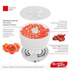 Сушилка для овощей и фруктов «Великие реки» ВР-5, 125 Вт, 5 ярусов, белая - Фото 2