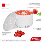 Сушилка для овощей и фруктов «Великие реки» ВР-5, 125 Вт, 5 ярусов, белая - Фото 3