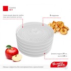 Сушилка для овощей и фруктов «Великие реки» ВР-5, 125 Вт, 5 ярусов, белая - Фото 4