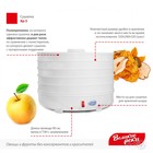 Сушилка для овощей и фруктов «Великие реки» ВР-5, 125 Вт, 5 ярусов, белая - Фото 5