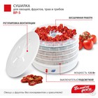 Сушилка для овощей и фруктов "Великие реки" ‎‎ВР-5, 125 Вт, 5 ярусов, прозрачные поддоны - фото 9955103