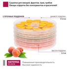 Сушилка для овощей и фруктов «Мастерица EFD-0501M», 125 Вт, 5 ярусов - Фото 3