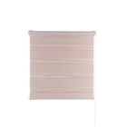 Рулонная штора «День и Ночь», 50х160 см, цвет какао 9663961