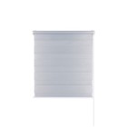 Рулонная штора «День и Ночь», 65х160 см, цвет стальной 9663968