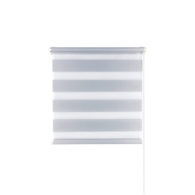 Рулонная штора «День и Ночь», 70х160 см, цвет стальной