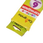 УЦЕНКА Карандаши Calligrata, цветные, 6 цветов, деревянные, шестигранные - Фото 5