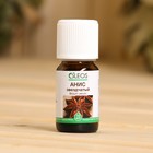 Эфирное масло «Анис» 10 мл Oleos - Фото 2